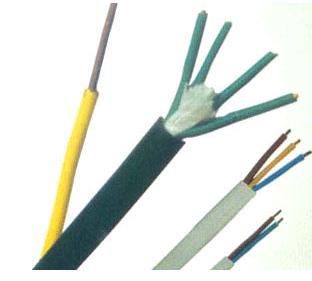 耐高温氟塑料硅橡胶安(ān)装(zhuāng)線(xiàn)及電(diàn)缆